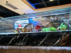 -红辣椒·川菜·火锅(张杨路店)