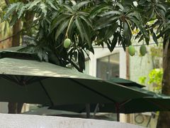 -微饮cafe