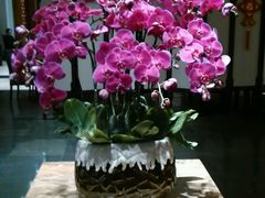 android_upload_pic-黔蘑菇四季餐厅(观山湖店)