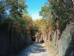 -马峦山郊野公园