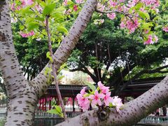 景点-宝墨园景区