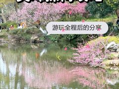 -杭州植物园