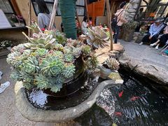 -寂照庵