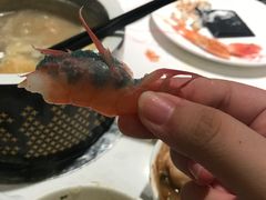 -加餐海鲜自助(宝龙一城店)