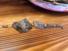 -十里铺铁板鱿鱼