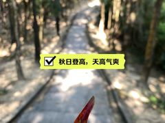 -火炉山森林公园