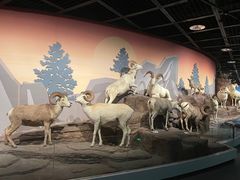 -陕西自然博物馆