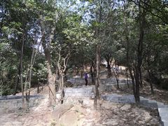 -火炉山森林公园