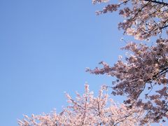 -上海辰山植物园