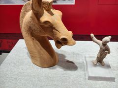 -烟台市博物馆