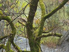-黔蘑菇四季餐厅(观山湖店)