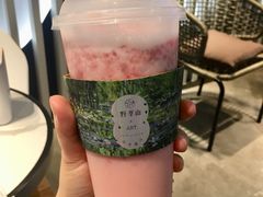 -野萃山·潮汕厚果汁(十亩地店)