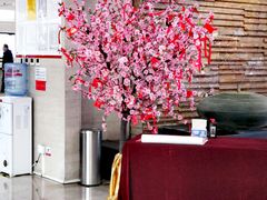 -招商银行(天津分行营业部)