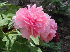 -江南大学(蠡湖校区)