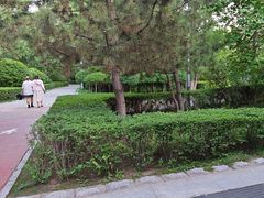 -青城公园