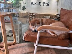 -李小姐の猫咖啡馆(五角场店)