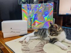 -光作面包Voila Lumiere(中山店)