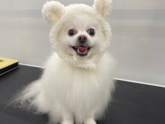 -comecome来吧宠物(奥克斯中心店)