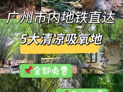 -晓港公园