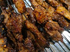 -清真·马峰烤肉(小学习北巷店)