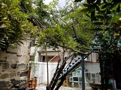 -喵屿·大理花园猫咖