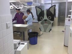 -爱侣宠医·鹦鹉专科·小型哺乳类·异宠专科(灵石路店)