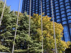 -新云南皇冠假日酒店-长街西餐厅