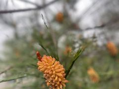 -十九峰景区-倒脱靴