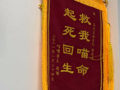-嘉馨宠物医院·CT影像转诊·心脏科·犬猫全科诊疗中心(下沙大学城院区)