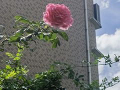 -荟廷·晶萃(陆家嘴尚悦湾店)