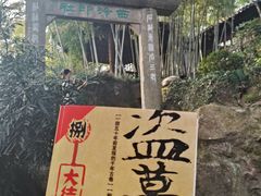 -西泠印社