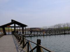 -溱湖国家湿地公园