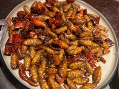-芸鲜季·云南野生菌餐厅· 云南风物味研社(闵行店)