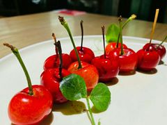 -小大董·烤鸭(凤凰汇店)