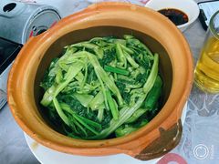 虾酱通菜-凤城康记饭店