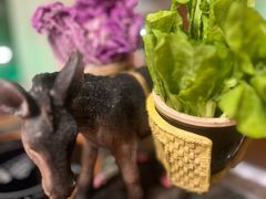 -慢丽江·云南野生菌土鸡锅(付家庄店)