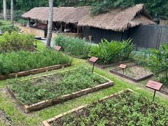 -四季酒店下午茶