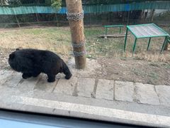 -乐和乐都主题乐园