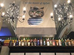 -猫咪博物馆(顶澳仔猫街店)