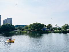 -新江湾城公园