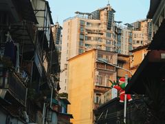 -溪岸路花鸟市场