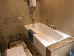 -圣爵菲斯大酒店(长沙世界之窗店)