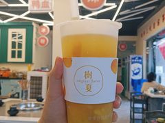 -树夏(建设路店)