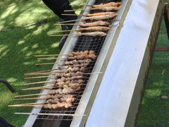 -尚庄度假村·庭台树下·户外烧烤·团建CS·轰趴营地(上庄水库店)