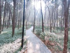 -千佛山风景名胜区
