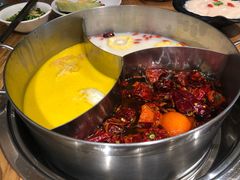 -青瓷火锅料理(西单大悦城店)