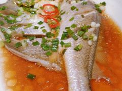 黄鱼清蒸-乾隆美食·本帮菜(黄河路店)