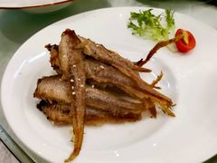 -高老庄新家宴(北斗星广场店)