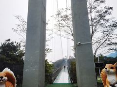 -南丹山森林王国