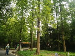 -东平国家森林公园